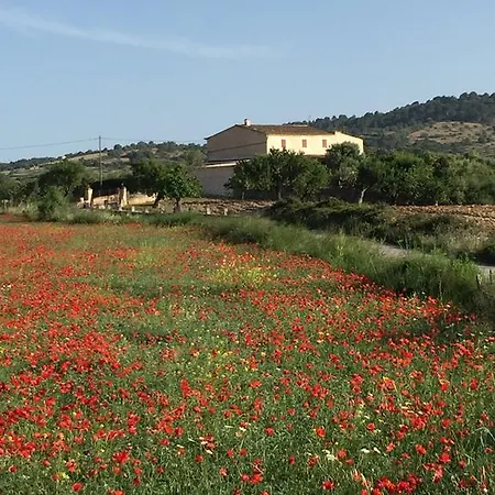 Holiday home Can Roqueta